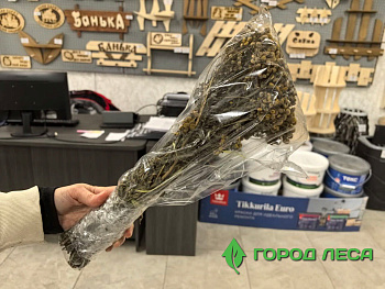 Веник ПИЖМА