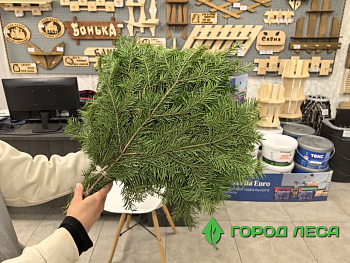 Веник ПИХТА